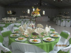 maria teresa Anuncios de Propiedades en Santiago |  banqueteria maria teresa eventos 9845065, matrimonios,graduaciones,aniversarios,eventos a empresas, etc