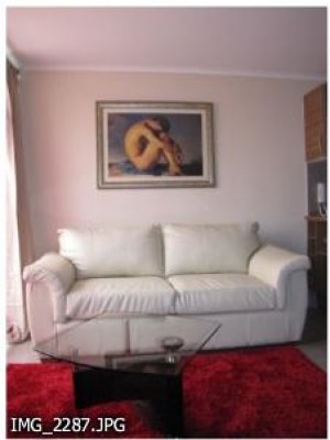  Anuncios de Propiedades en Santiago |  Arriendo Departamentos    de lujo  amoblados DIAS, SEMANAS en santiago cent, METRO SANTA LUCIA