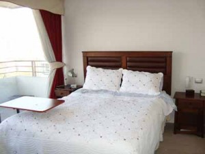 HOMECHILE Anuncios de Propiedades en Santiago |  300.000 - Renta de Departamento Amueblado , Providencia, Las Condes, Santiago Centro