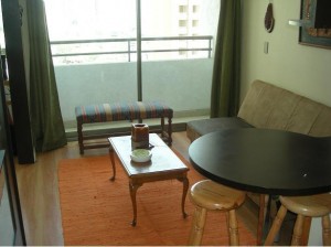  Anuncios de Propiedades en Santiago |  ARRIENDO DEPARTAMENTOS AMOBLADOS EN SANTIAGO de CHILE  Impecable (dia/s,sem, Metro Baquedano, Limite providencia, Stgo centro