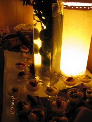 maria teresa Anuncios de Propiedades en Santiago |  banqueteria para matrimonios, calidad y eficiencia maria teresa eventos