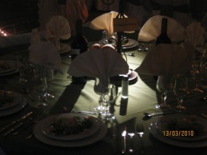 maria teresa Anuncios de Propiedades en Santiago |  Eventos a Empresas, calidad y todo para su empresa 9845065