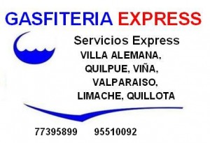 Cristian P&aacute;ez Anuncios de Propiedades en Vi&ntilde;a del Mar |  G&aacute;sfiter - El&eacute;ctrico (villa alemana, Quilpue, Vi&ntilde;a, Valpara&iacute;so , Limache, Q, G&aacute;sfiter REPARACIONES - CALEFONT - COCINAS - EMERGENCIAS