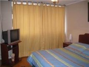 monica Anuncios de Propiedades en Santiago |  arriendo depto amoblado dias, semanas en santiago centro, metro universidad de chile