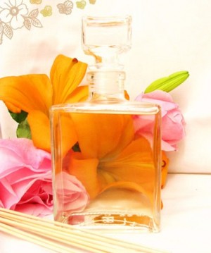 Aromas y Fragancias Naturales Lemunko Chile Anuncios de Propiedades en Providencia |  Aromas y Fragancias Naturales, ..... Dilo con perfumes