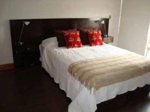 HomeChile Anuncios de Propiedades en Providencia |  Arriendo Departamento Amoblado - 370.000, Providencia, Las Condes y Santiago Centro