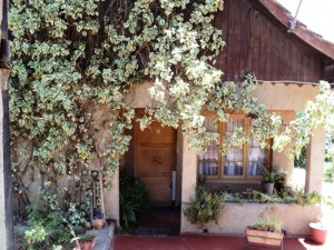 orlando Anuncios de Propiedades en Quilpu&eacute; |  $145.000.000 Casa Quinta 1500m�, Inmejorable Casa Quinta