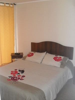 Valeria Anuncios de Propiedades en Santiago |  Departamentos modernos amoblados y full equipados en condominios nuevos. , Desde $22000 diarios c/estacionamiento, a 2 cuadras Plaza de Armas.