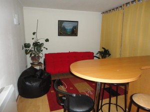 Valeria Anuncios de Propiedades en Santiago |  Arriendo departamentos 1 y 2 dormitorios totalmente amoblados centro, Departamento con y sin estacionamiento.