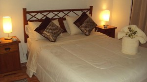 Monica Balut Anuncios de Propiedades en Santiago |  Departamentos Amoblados Santiago Centro  (Arriendos por dias y semanas), Arriendos por dias, semanas ymeses