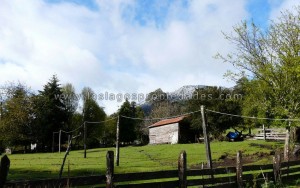 Francisco Anuncios de Propiedades en Santiago |  SE VENDEN TERRENOS EN LA REGI&Oacute;N DE LOS LAGOS, Terrenos, Parcelas, Sitios