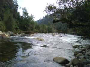 Francisco Anuncios de Propiedades en Santiago |  SE VENDEN CASAS EN PUERTO MONTT Y REGI&Oacute;N DE LOS LAGOS, Casas, Caba&ntilde;as, Terrenos