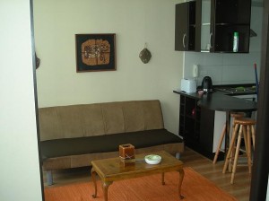  Anuncios de Propiedades en Santiago |  ARRIENDO  DEPARTAMENTOS AMOBLADOS por dia cerca del HOSPITAL LA CATOLICA , METRO UNIVERSIDAD CATOLICA