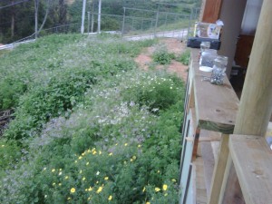  Anuncios de Propiedades en Vi&ntilde;a del Mar |  caba&ntilde;a dos dormitorios con terreno 400 mts..vista maravillosa, realmente  esta en oferta. inversionistas