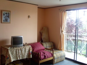 Edith Mu&ntilde;oz Gurbelett Anuncios de Propiedades en Vi&ntilde;a del Mar |  Arriendo departamento amoblado de Verano Vi&ntilde;a Sector Re&ntilde;aca, Amoblado de Verano Sector Altos Playa Re&ntilde;aca