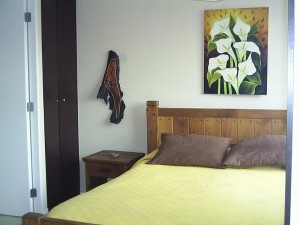 deptomarin Anuncios de Propiedades en Santiago |  Arriendo departamentos amoblados en santiago centro por d&iacute;as , Metro univ catolica