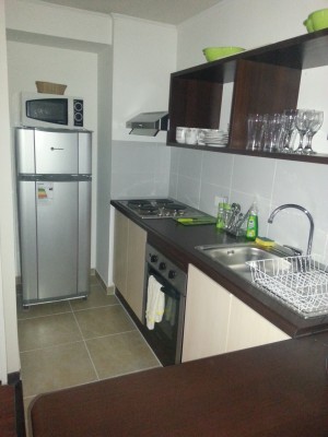 gustavo vasquez cespedes Anuncios de Propiedades en Santiago |  Arriendo depto  amoblado x dias en stgo centro  full equipado, Depto amoblado en stgo centro  x dias 