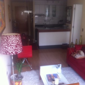 christelle Anuncios de Propiedades en Providencia |  Arriendo amplio dpto completamente amoblado en providencia, 60 m2 - ch$490000