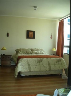 deptomarin Anuncios de Propiedades en Santiago |  Arriendo depto amoblados en stgo centro,metro univ catolica, Metro univ catolica