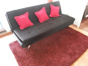 Loreto Pavez MArtin Anuncios de Propiedades en Santiago |  Departamentos amoblados ofrezco en santiago centro vicu&ntilde;a mackenna, Arriendo departamentos amoblados en santiago centro