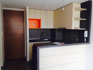 OPC PROPIEDADES Anuncios de Propiedades en Santiago |  Arriendo departamento nuevo en santiago centro a cuadras de la moneda, Arriendo departamento en morand&eacute; con santo domingo