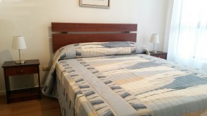 Alejandra Anuncios de Propiedades en Santiago |  Acogedor departamento, completamente amoblado y equipado exelente ubic, En pleno centro