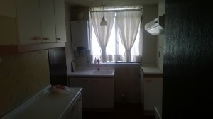 Lorenzo Monsalve Gutiettez Anuncios de Propiedades en Santiago |  Arriendo casa excelentes condiciones en ciudad satelite, Mony