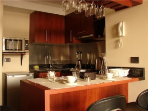 Urania Balut Anuncios de Propiedades en Providencia |  Departamentos amoblados providencia (arriendos por dias) , Departamentos amoblados