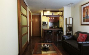 Urania Balut Anuncios de Propiedades en Providencia |  Departamentos amoblados providencia (arriendos por dias) , Departamentos amoblados por dias providencia