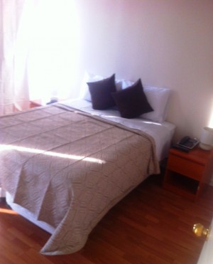 MG Apartment Anuncios de Propiedades en Santiago |  Arriendo departamento amoblado de 2 dormitorios santiago, Arriendo departamento de 2 dormitorios, totalmente amoblado