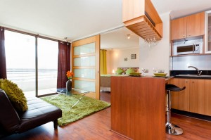 Se Arriendan departamentos Amoblados Anuncios de Propiedades en Providencia |  Se arriendan departamentos  totalmente amoblado, en nueva providencia , Se arriendan departamento amoblados cerca del metro los leones