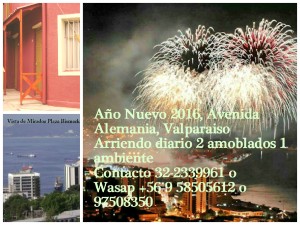 Alicia Calderon Aravena Anuncios de Propiedades en Valpara&iacute;so |  A&ntilde;o nuevo 2016, arriendo diario amoblado 1 ambiente, valparaiso, Avenida alemania, valparaiso, fono 97508350 o 58505612