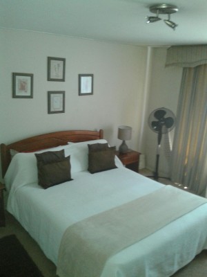 Diego Gallardo Anuncios de Propiedades en Providencia |  Departamentos amoblados en providencia alojamiento en santiago, Departamentos en providencia por noches 