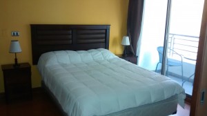 Diego Gallardo Anuncios de Propiedades en Providencia |  Departamento amoblado en providencia por noche ( alojamiento) , Departamentos en providencia por noches 